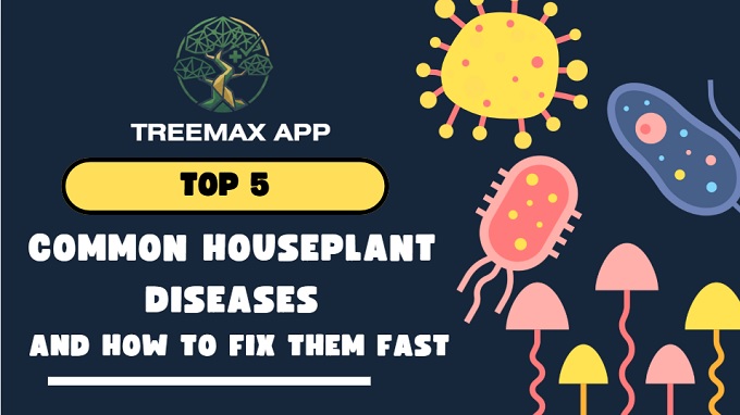 common houseplant diseases and how to fix them with Tree Max