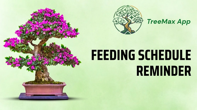 Create feeding schedule reminder on Treemax App