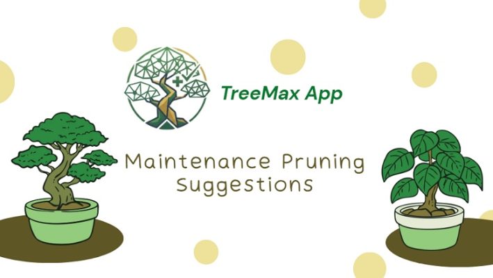 TreeMax app gives maintenance pruning suggestions