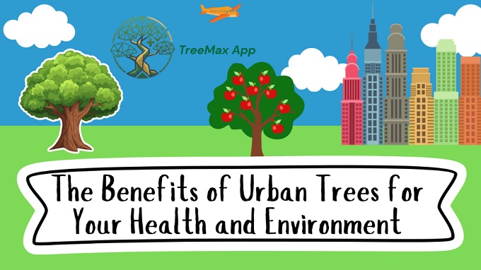 Benefits of Urban Trees for your health and environmen