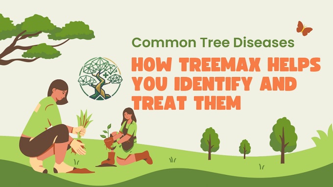 how treemax app helps your tree