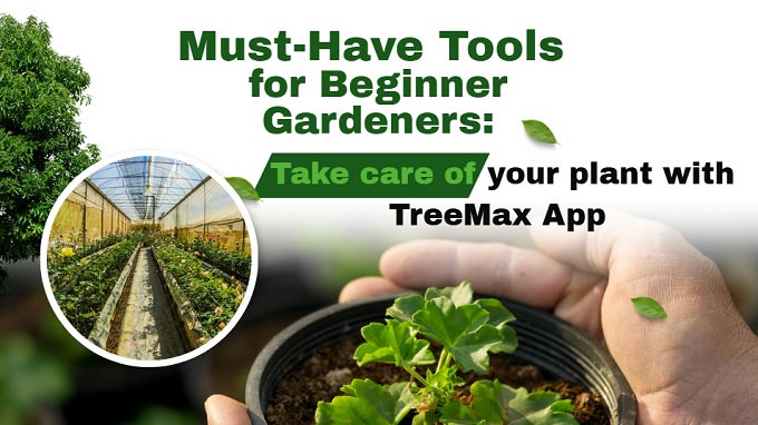 Must-have Tools for Beginner Gardeners: TreeMax App