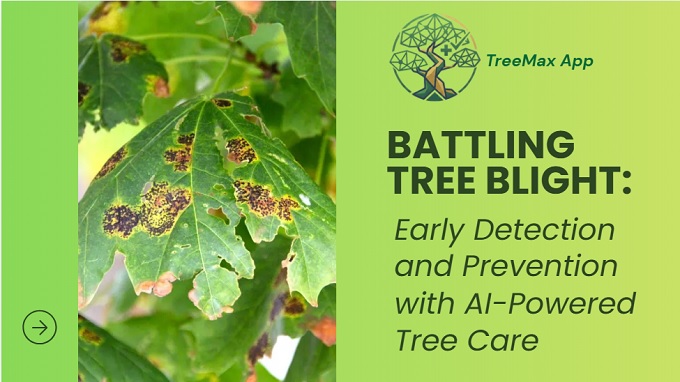 battling tree blight: Early detection and prevention with AI-Powered tree care