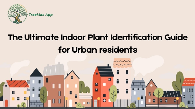 The Ultimate Indoor Plant Identification Guide for Urban residents