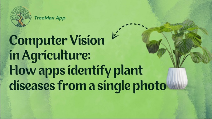 Apps identify plant diseases from photo
