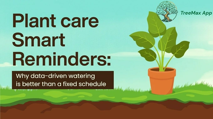 TreeMax app generate customized reminders based on real-time geography and local weather conditions